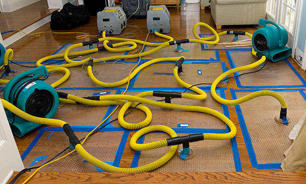 Professional Basement Flood Cleanup technician working in Jefferson, NH